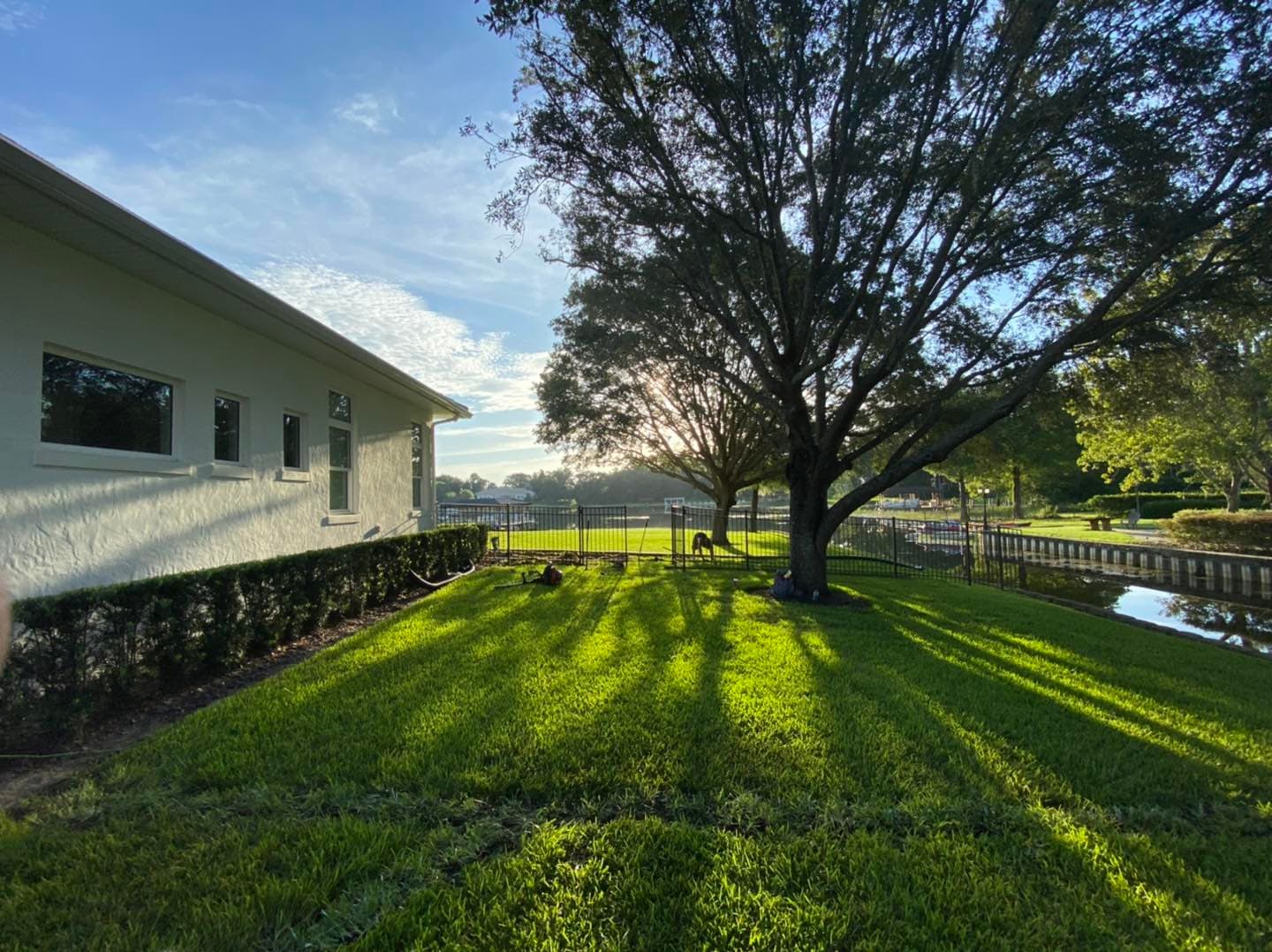 Professionally landscaped lawn by Premier Outdoors