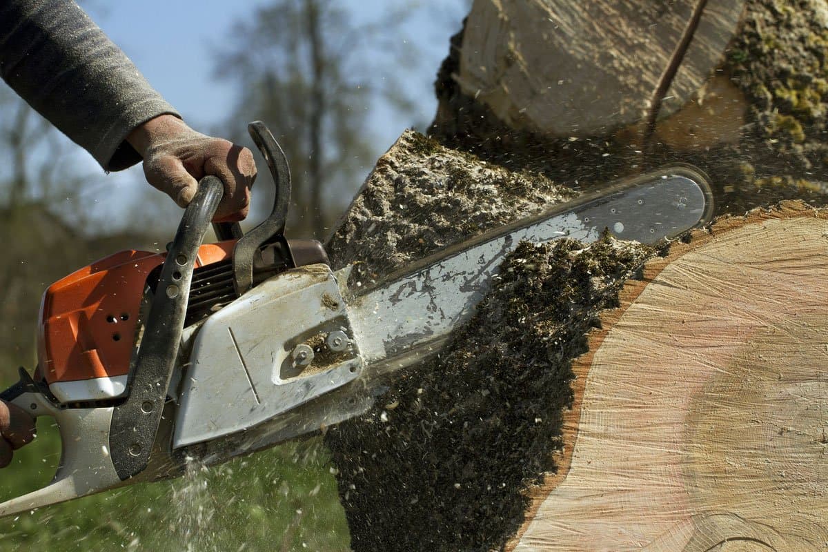Tree Services & Grading